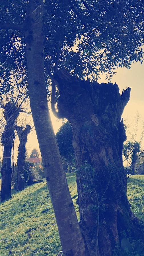 Casal da Batoca Nature House Fafe Bagian luar foto